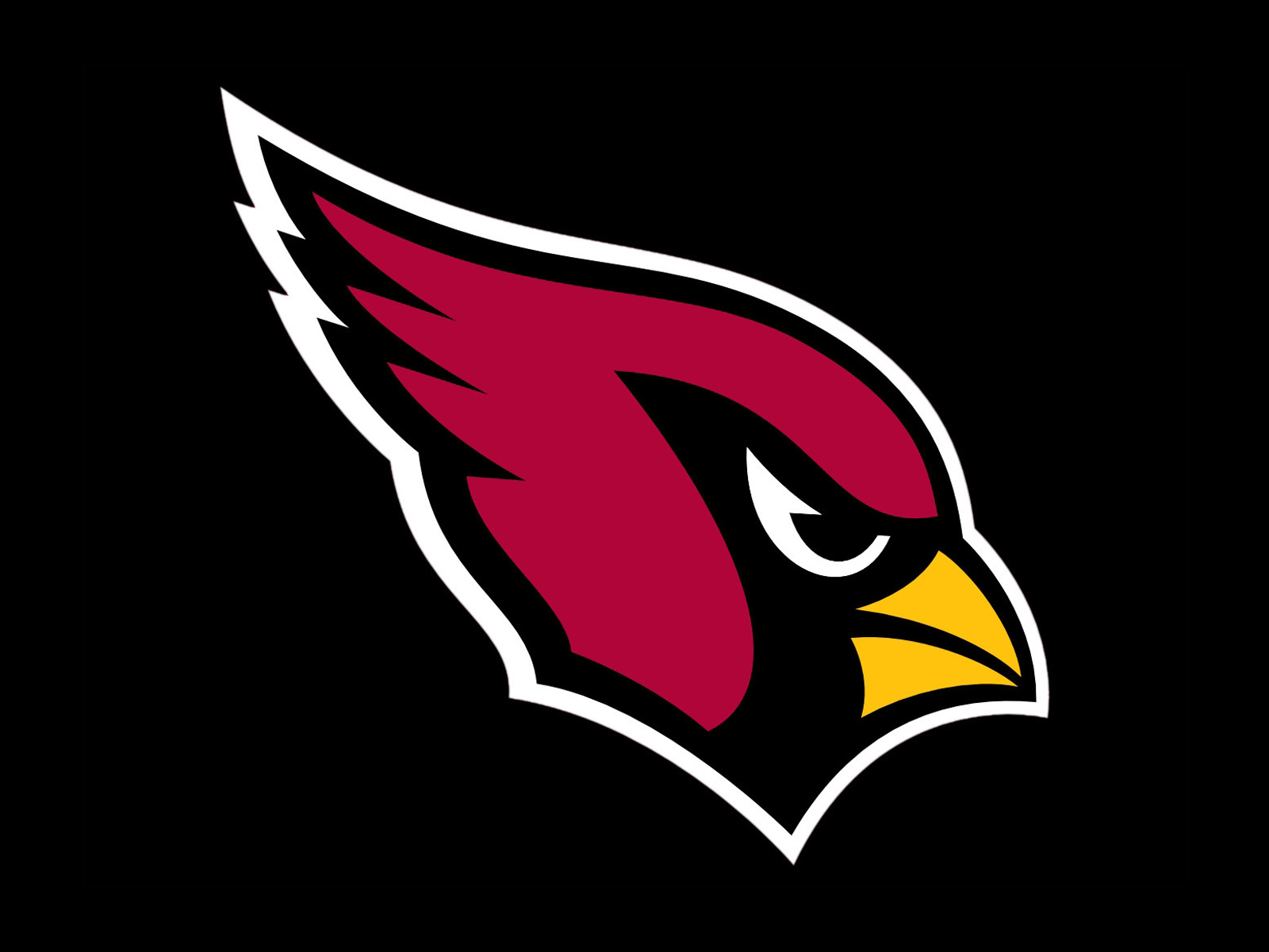 National Football All Sim League Team Spotlight Arizona Cardinals.8